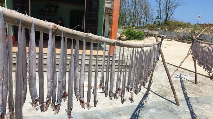 Những dàn cá hố phơi trước sân nhà ở làng biển Bình Minh, Thăng An