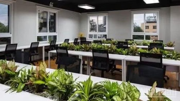 Văn phòng ưu tiên không gian xanh, hiện đại. (Ảnh: HNV)
