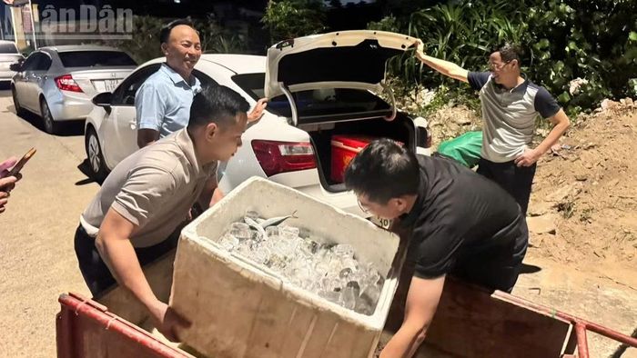 Người dân vùng kế cận cũng tranh thủ ra biển thu mua cá bạc má tươi đem về cho gia đình, bạn bè thưởng thức.