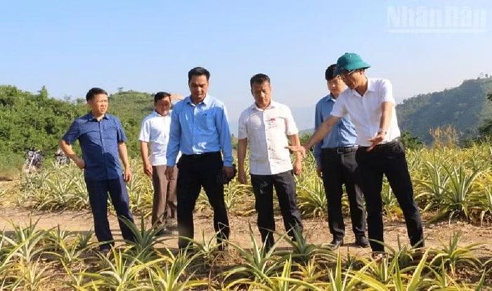 Lãnh đạo Ban Dân tộc Hội đồng nhân dân tỉnh Điện Biên giám sát việc thực hiện Chương trình mục tiêu quốc gia tại xã Núa Ngam. (Ảnh: LÊ LAN)