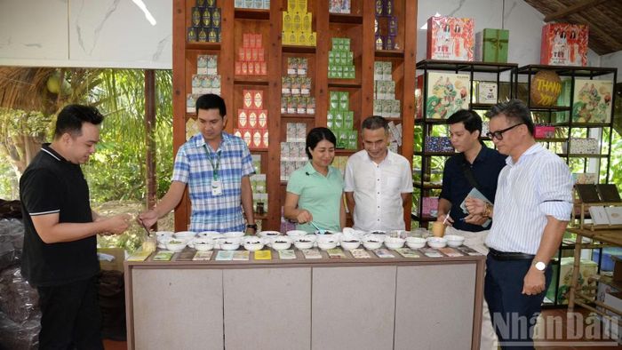 Mô hình khởi nghiệp Sôcôla mang thương hiệu Aluvia của Công ty trách nhiệm hữu hạn Ca-cao Xuân Ron Chợ Gạo, tỉnh Đồng Tháp (Ảnh: NGUYỄN SỰ)
