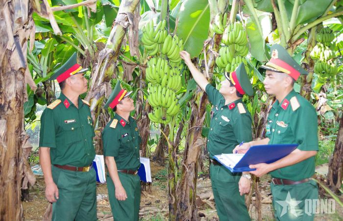 Ban giám khảo chấm điểm các mô hình tăng gia sản xuất.