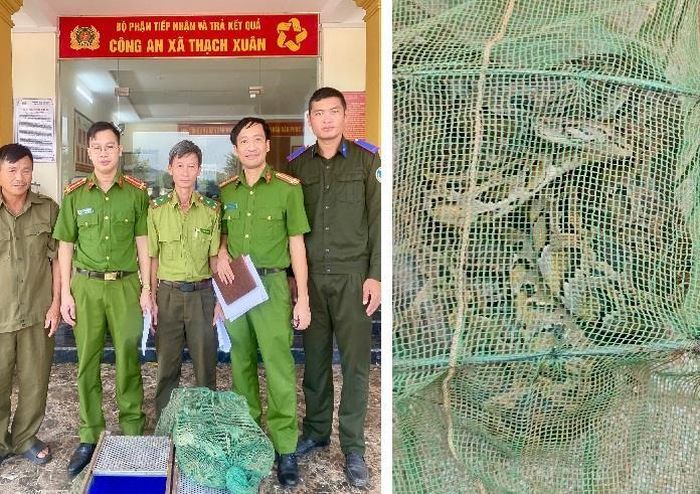 Lực lượng chức năng tiếp nhận cá thể trăn do ông Hiền giao nộp.