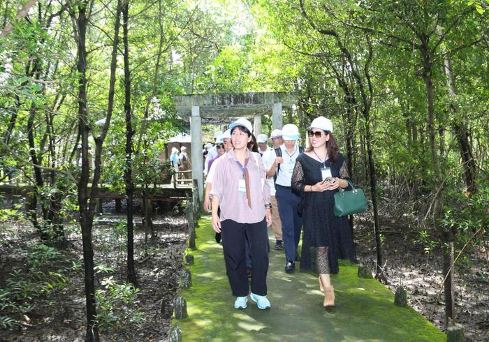  Đoàn khảo sát tham quan rừng đước tại Khu du lịch Dần Xây (xã An Thới Đông). Ảnh: PHƯƠNG THẢO 