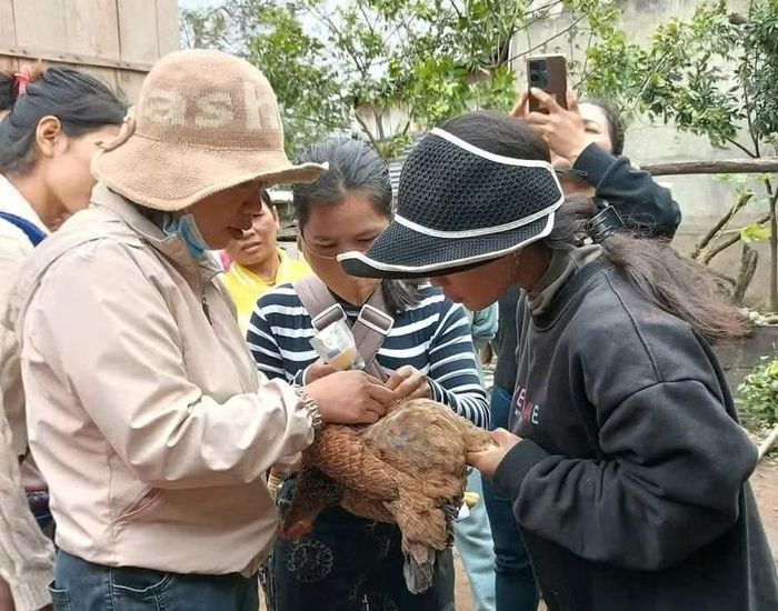 Học viên tại Kbang thực hành chăn nuôi và phòng, trị bệnh cho gia cầm giúp nâng cao tay nghề sau khi hoàn thành khóa học.
