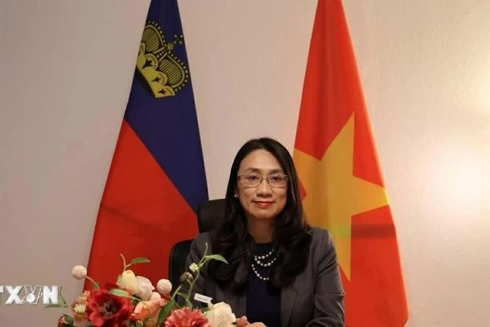 Đại sứ Việt Nam tại Thụy Sỹ kiêm nhiệm Công quốc Liechtenstein Châu Mai Anh. (Nguồn: TTXVN)