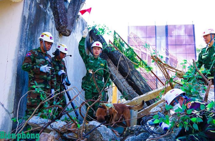 Huấn luyện viên Trường Trung cấp 24 Biên phòng dùng cờ báo hiệu vị trí chó nghiệp vụ phát hiện nguồn hơi để các lực lượng phối hợp tìm kiếm nạn nhân. Ảnh: Quang Thanh