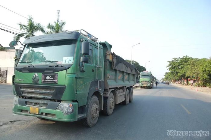 Hàng loạt xe có dấu hiệu quá tải được yêu cầu dừng kiểm tra.