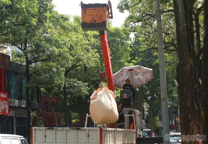 Số hoa sữa này được cẩu lên xe chuyên dụng để vận chuyển đi, bảo đảm vệ sinh môi trường và mỹ quan đường phố.