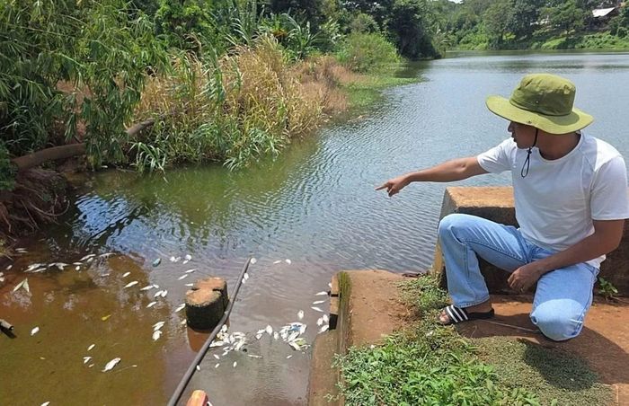 Khu vực cá chết tại hồ Ea Trum, gần khu Công nghiệp Tân An.