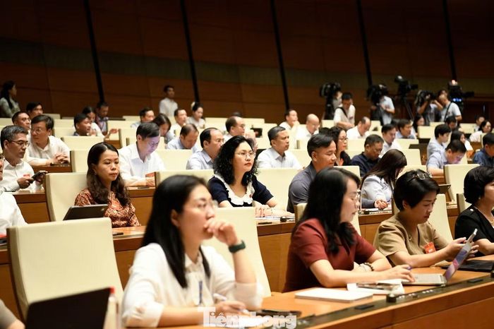  Các đại biểu dự hội nghị. Ảnh: Như Ý. 