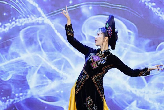 Sự kết hợp giữa vẻ dịu dàng trong tà áo dài và bản lĩnh trên mặt trận công tác đã để lại nhiều ấn tượng sâu sắc cho người tham dự.