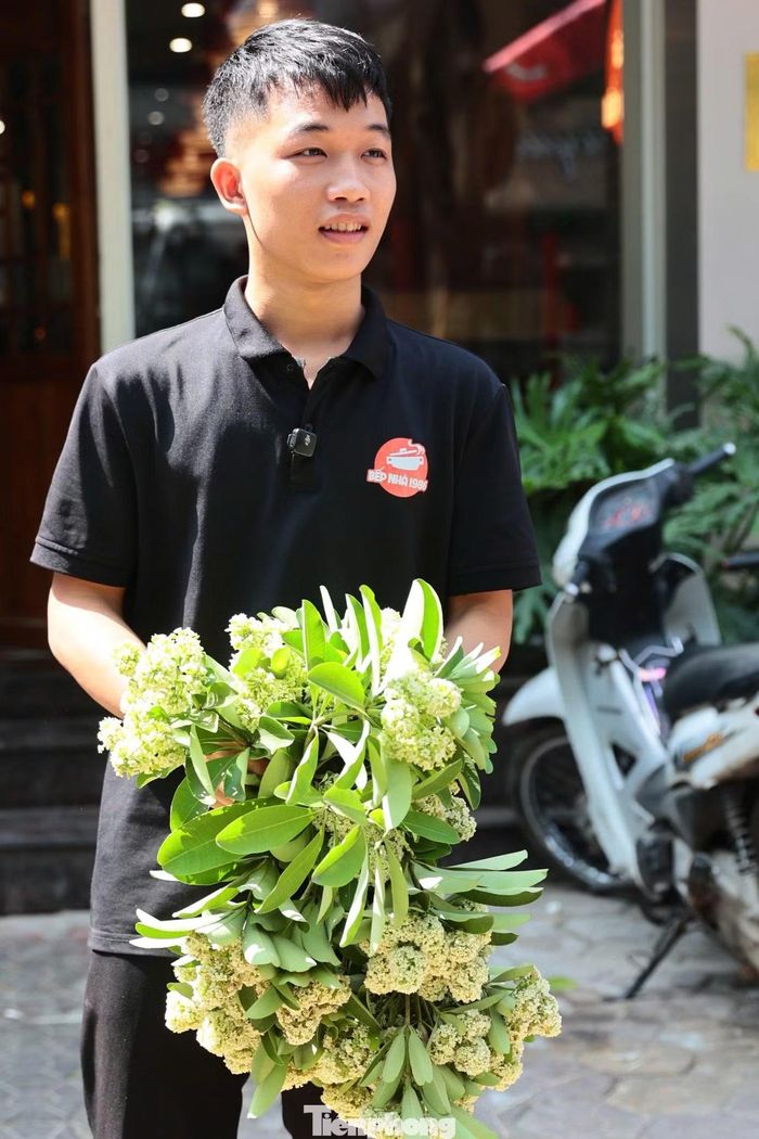 Nhiều người tranh thủ nhặt những cành hoa đẹp mang về trang trí cửa hàng. “Mình thấy hoa sữa rất đẹp, nên khá bất ngờ khi thấy cây bị cắt tỉa. Mình tranh thủ chọn những cành đẹp nhất mang về trang trí cho cửa hàng", Đoàn Quang Minh, sống tại phố Trung Hòa, nói.