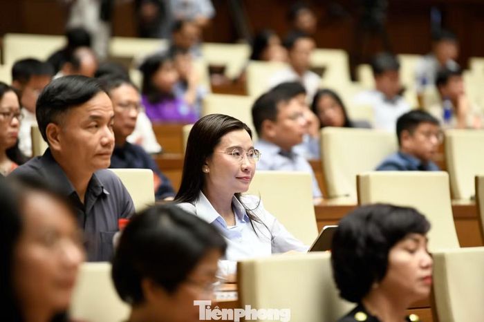  Đại biểu dự hội nghị. Ảnh: Như Ý. 