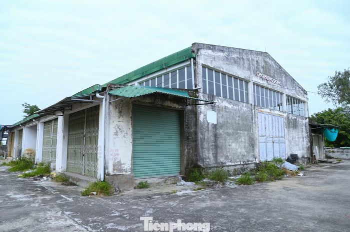 Chợ Hưng Đông được đầu tư tiền tỷ xây mới nhưng bỏ hoang nhiều năm.