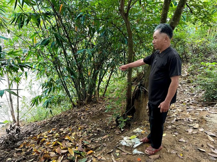 Sạt lở ăn sâu vào vườn nhà dân, đe dọa nhà cửa.