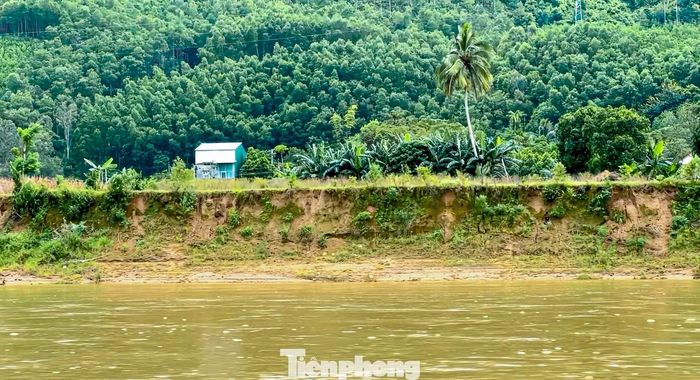 Nhiều điểm ven sông Vu Gia - sông Côn sạt lở, ăn sâu vào đất liền sau các đợt mưa lớn. Ảnh: Duy Quốc