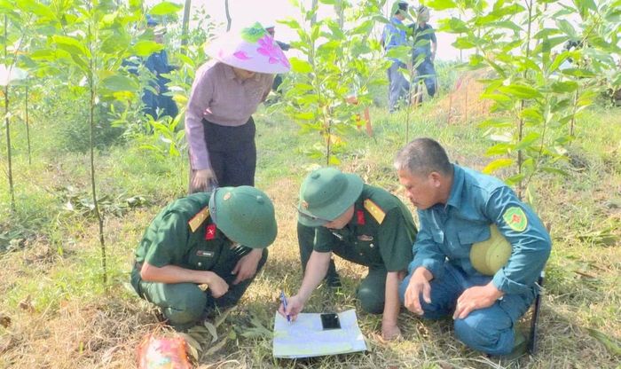 Các đơn vị khảo sát, tìm kiếm thông tin liên quan đến phần mộ.