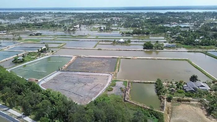 Cơ cấu kinh tế Vĩnh Long tiếp tục chuyển dịch tích cực, trong đó, khu vực I tiếp tục giảm, chiếm hơn 26%