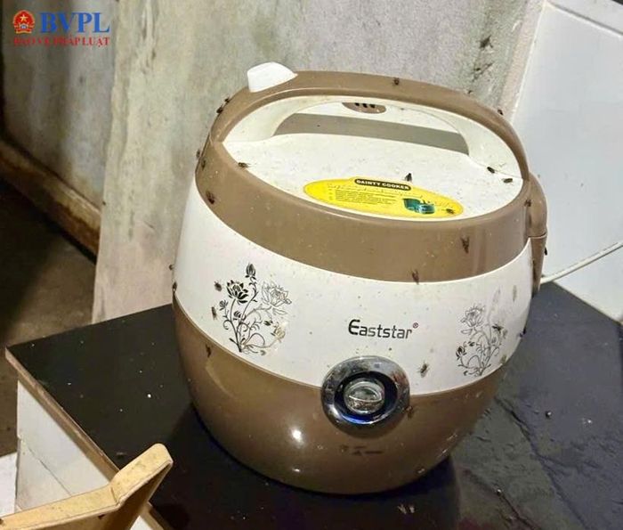  Ruồi bu kín bếp điện nấu cơm.