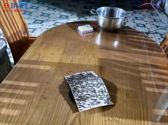  Ruồi làm ảnh hưởng xấu đến sinh hoạt của người dân.