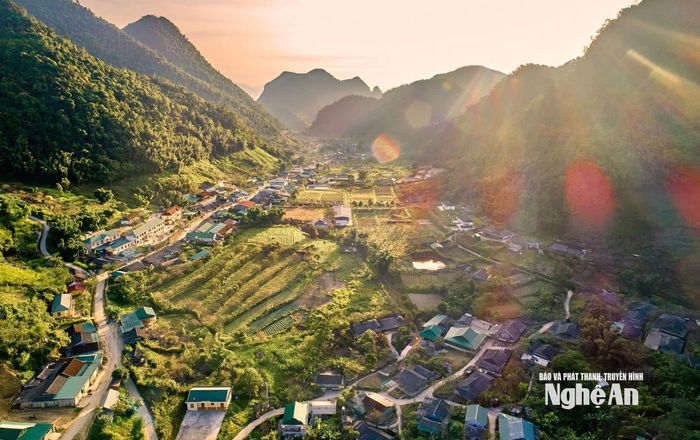 Vùng trồng dược liệu của Tập đoàn TH tại xã Mường Lống, tỉnh Nghệ An. Ảnh CSCC