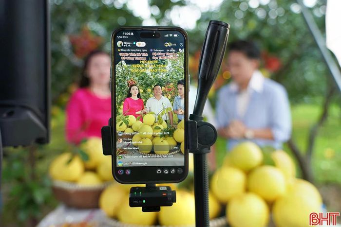 Các cấp bộ đoàn sẽ kết nối KOL, KOC, nhà sáng tạo nội dung tham gia trải nghiệm thực tế, xây dựng các sản phẩm truyền thông quảng bá văn hóa, du lịch Hà Tĩnh.