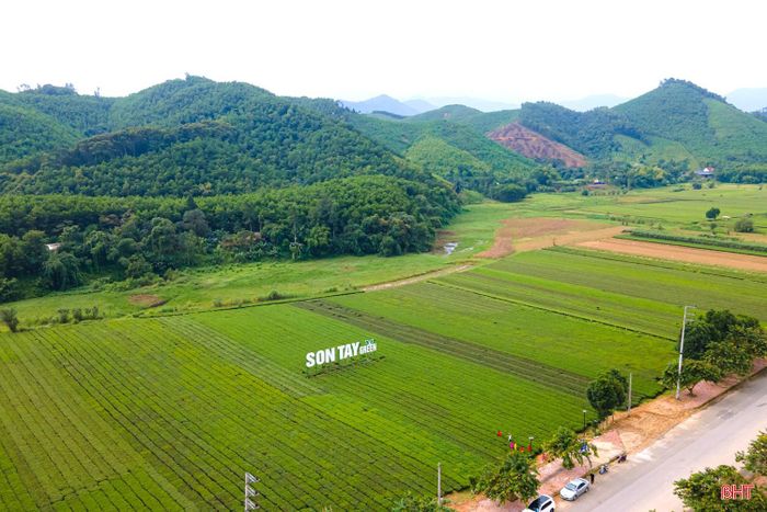 Đồi chè cũng trở thành điểm dừng chân thu hút người dân, du khách.