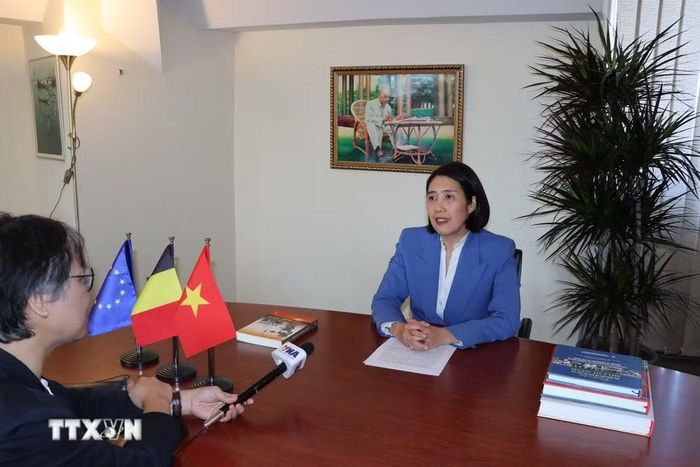Đại sứ Việt Nam tại Vương quốc Bỉ, Trưởng Phái đoàn Việt Nam bên cạnh Liên minh châu Âu Nguyễn Hương Trà. (Ảnh: Duy Tùng/TTXVN)
