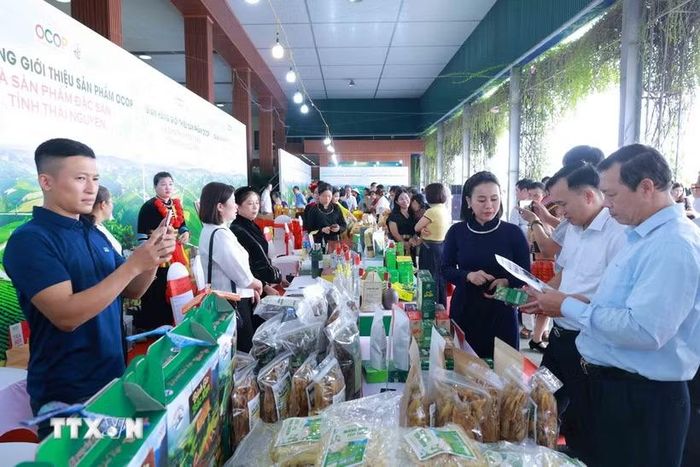 Các đại biểu tham quan các gian hàng OCOP. (Ảnh: Thu Hằng/TTXVN)
