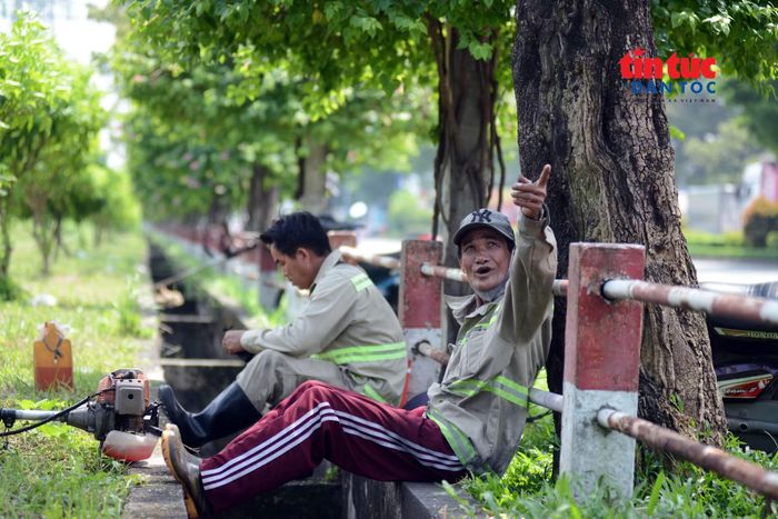 Ông Nguyễn Văn Phước chỉ tay về hướng những bông hoa sữa đang bung nở.