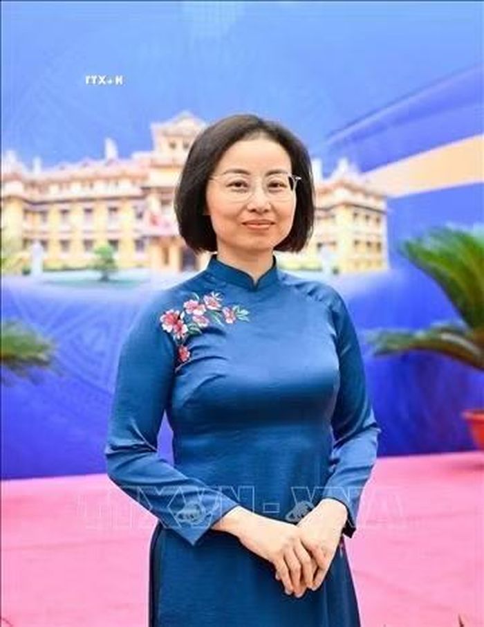 Đại sứ Việt Nam tại Vương quốc Đan Mạch Nguyễn Lê Thanh. Ảnh: TTXVN phát