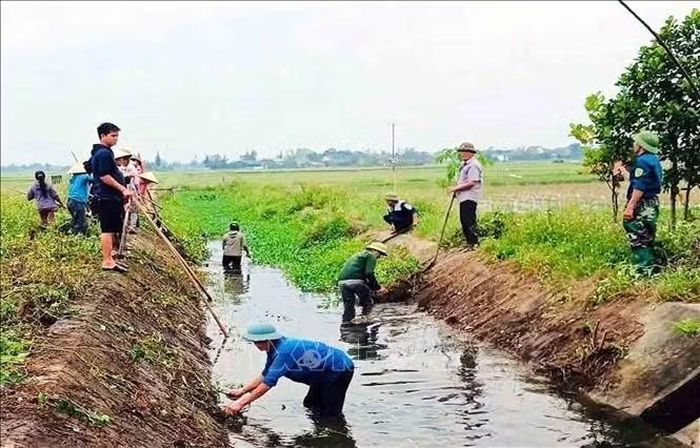 Ra quân vệ sinh môi trường.