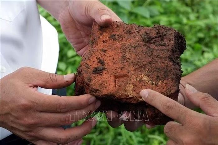 Viên gạch từ thời Vua Gia Long được tìm thấy tại khu vực di tích miếu thờ Chúa Tiên Nguyễn Hoàng (chùa Long Phước), xã Cồn Tiên (Quảng Trị), là một trong những dấu tích vật liệu kiến trúc còn sót lại của công trình thờ tự xưa.