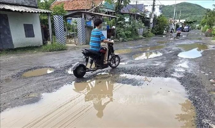 "Ổ gà", "ổ voi" xuất hiện dày đặc trên tuyến đường ĐT649 qua địa bàn thôn Phú Lương, Tuy An Đông.