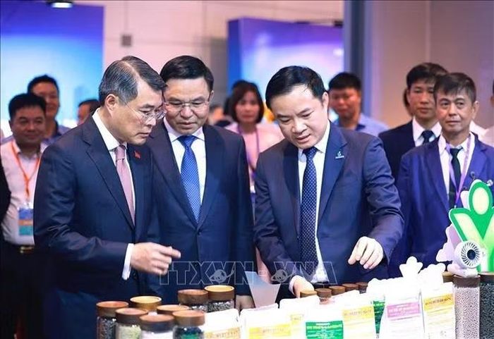 Thủ tướng Lê Minh Hưng tham quan các gian hàng trưng bày sản phẩm đạt Thương hiệu quốc gia. Ảnh: Dương Giang/TTXVN