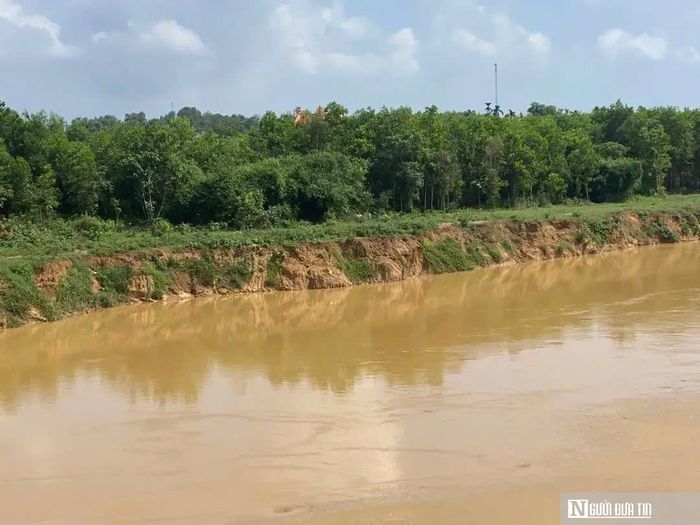Sạt lở bờ sông Thạch Hãn diễn ra ngày càng nghiêm trọng