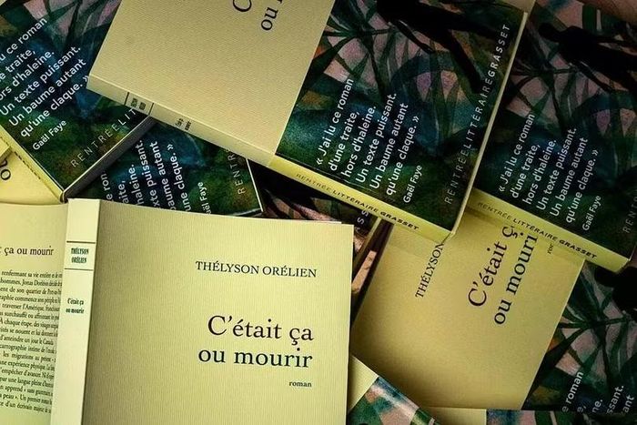 Bất chấp những tranh cãi, tiểu thuyết "Không làm thế thì chỉ còn đường chết" hiện vẫn là sách bán chạy nhất mùa năm nay. Ảnh: AFP.