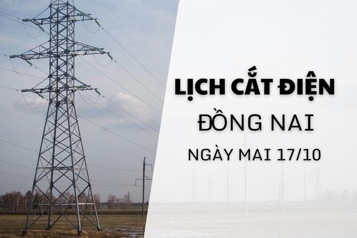 Lịch cắt điện Đồng Nai ngày mai 17/10 cập nhật mới nhất