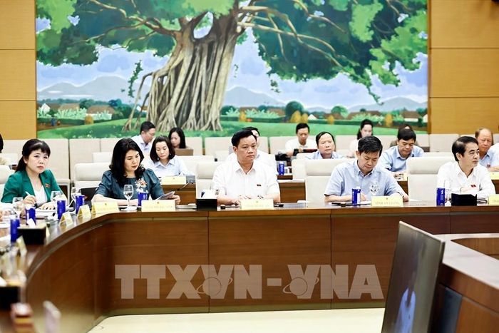 Đại biểu dự Hội nghị. Ảnh: Doãn Tấn - TTXVN