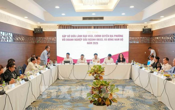Ông Nguyễn Phương Lam, Giám đốc VCCI chi nhánh Đồng bằng sông Cửu Long phát biểu tại hội nghị. Ảnh: Thanh Liêm - TTXVN