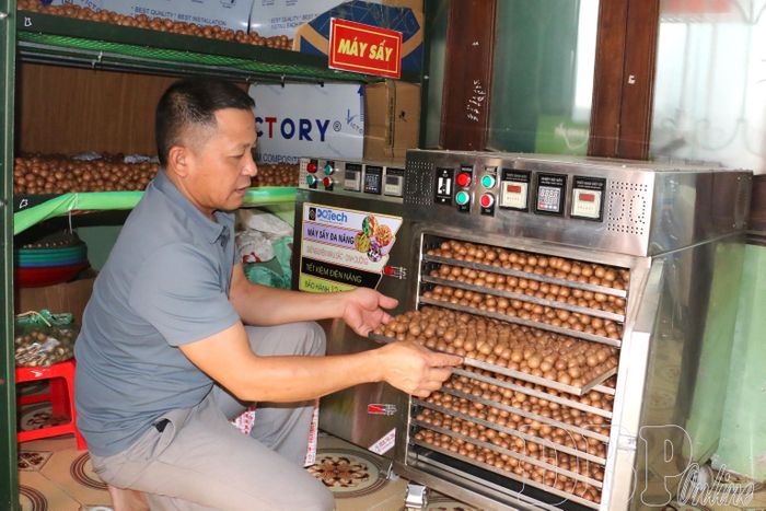  Cơ sở mắc ca Việt Hà, xã Tuần Giáo ứng dụng công nghệ trong sấy, chế biến mắc ca.