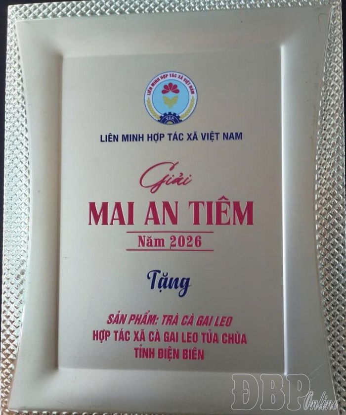 Hợp tác xã Cà gai leo Tủa Chùa vinh dự được UBND tỉnh Điện Biên tặng Bằng khen; Liên minh Hợp tác xã Việt Nam trao Giải thưởng Mai An Tiêm năm 2026.