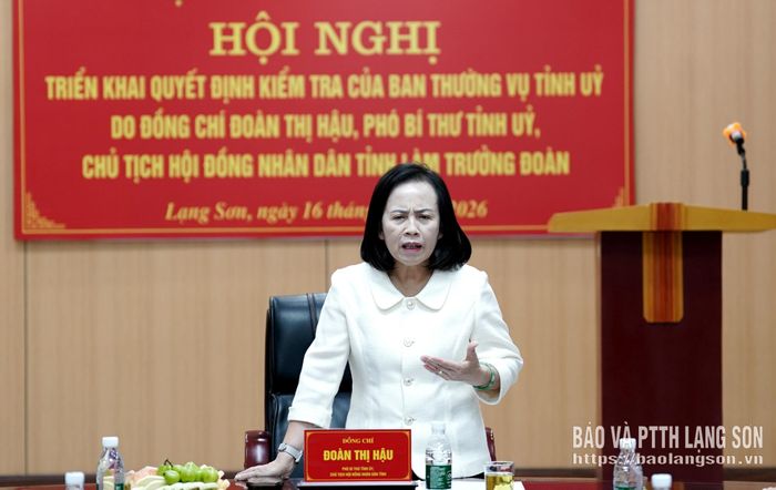 Đồng chí Đoàn Thị Hậu, Phó Bí thư Tỉnh ủy, Chủ tịch HĐND tỉnh, Trưởng Đoàn kiểm tra số 830 phát biểu tại hội nghị