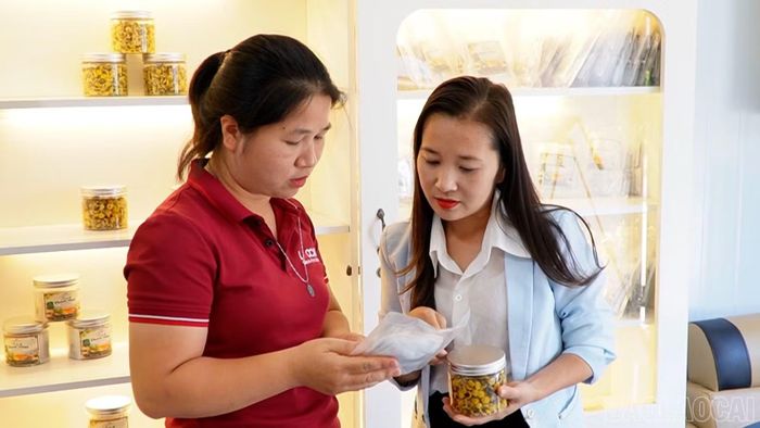 Chế biến sâu giúp nâng cao giá trị dược liệu, từng bước xây dựng thương hiệu sản phẩm địa phương.