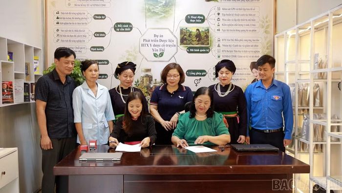 Hợp tác xã Y Dược học cổ truyền Yên Thế tham gia vào Dự án “Thúc đẩy tiếp cận tài chính cho các chuỗi giá trị bảo vệ rừng có đáp ứng giới” do Liên minh Châu Âu tài trợ.