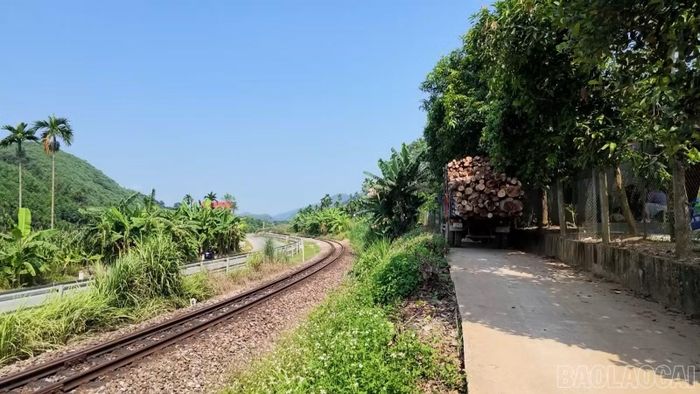 Những tuyến đường gom dân sinh là giải pháp đảm bảo an toàn cho những hộ dân sống ven đường sắt