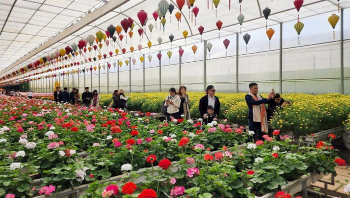 Hoa khoe sắc ở khắp mọi nơi