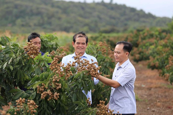 Cán bộ xã Nam Dong thường xuyên kiểm tra thực tế, nắm bắt tâm tư, nguyện vọng và giải đáp các thắc mắc của người dân