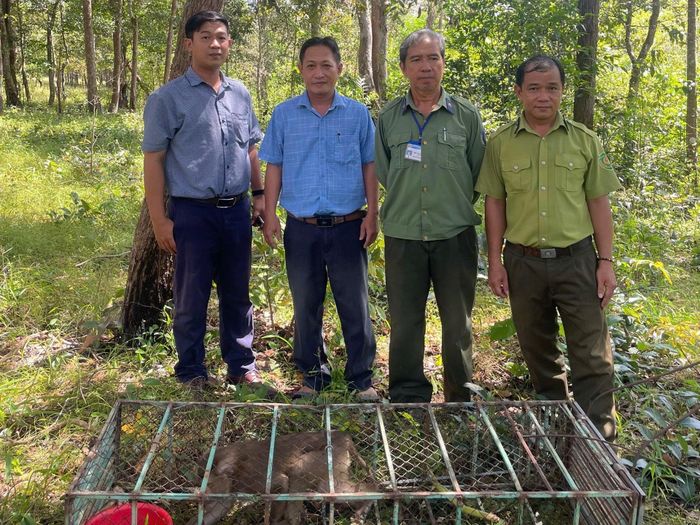 UBND phường Tiến Thành phối hợp với lực lượng chức năng thả cá thể khỉ về tự nhiên ngày 16/10